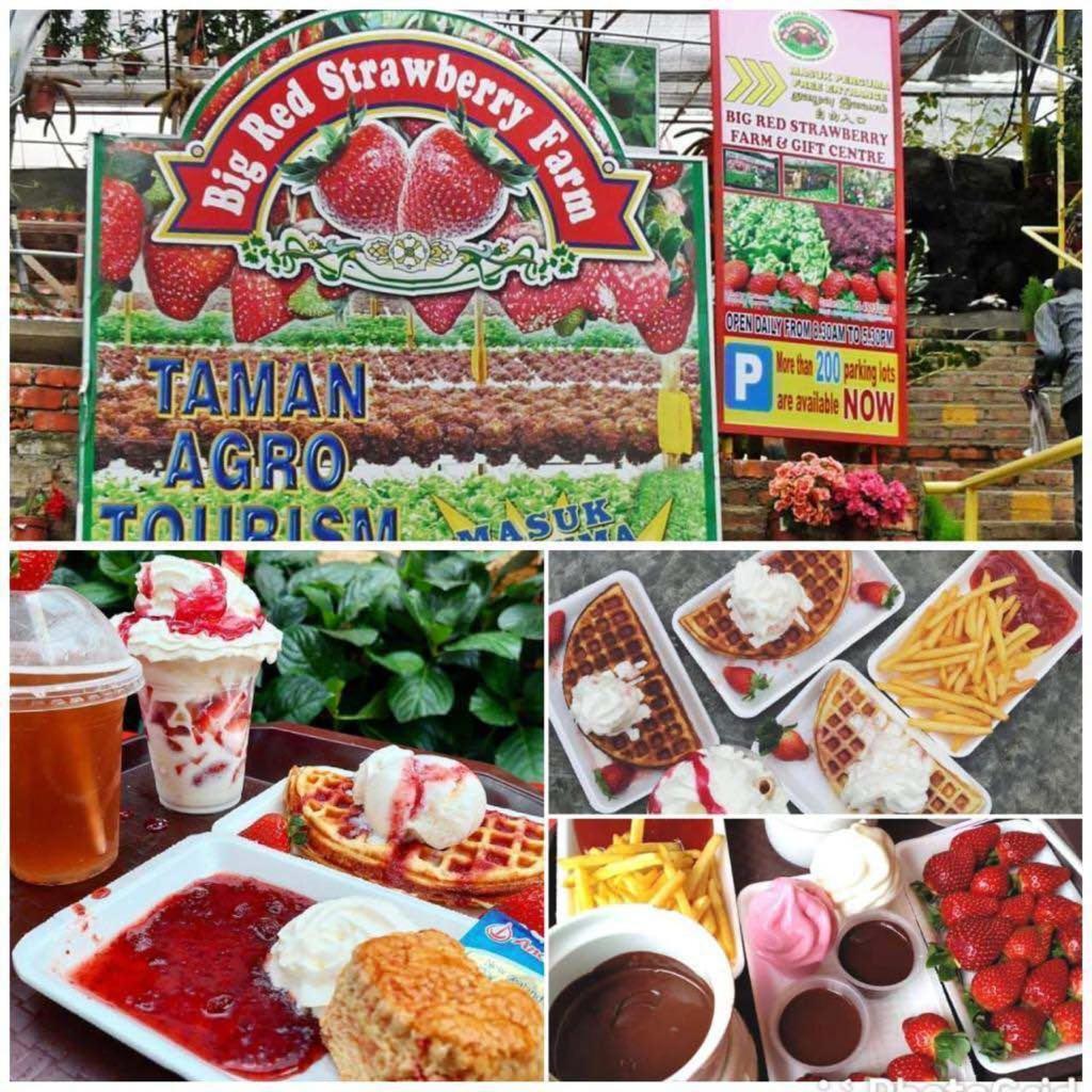 Apartment Golden Hills Pasar Malam Night Market Cameron Highlands